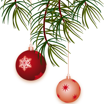 Pine Branch